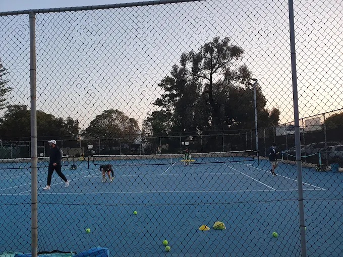 Hensman Park Tennis Club
